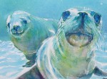 Twin Seals 2013 by Susan Piesse