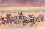 View works from African animals